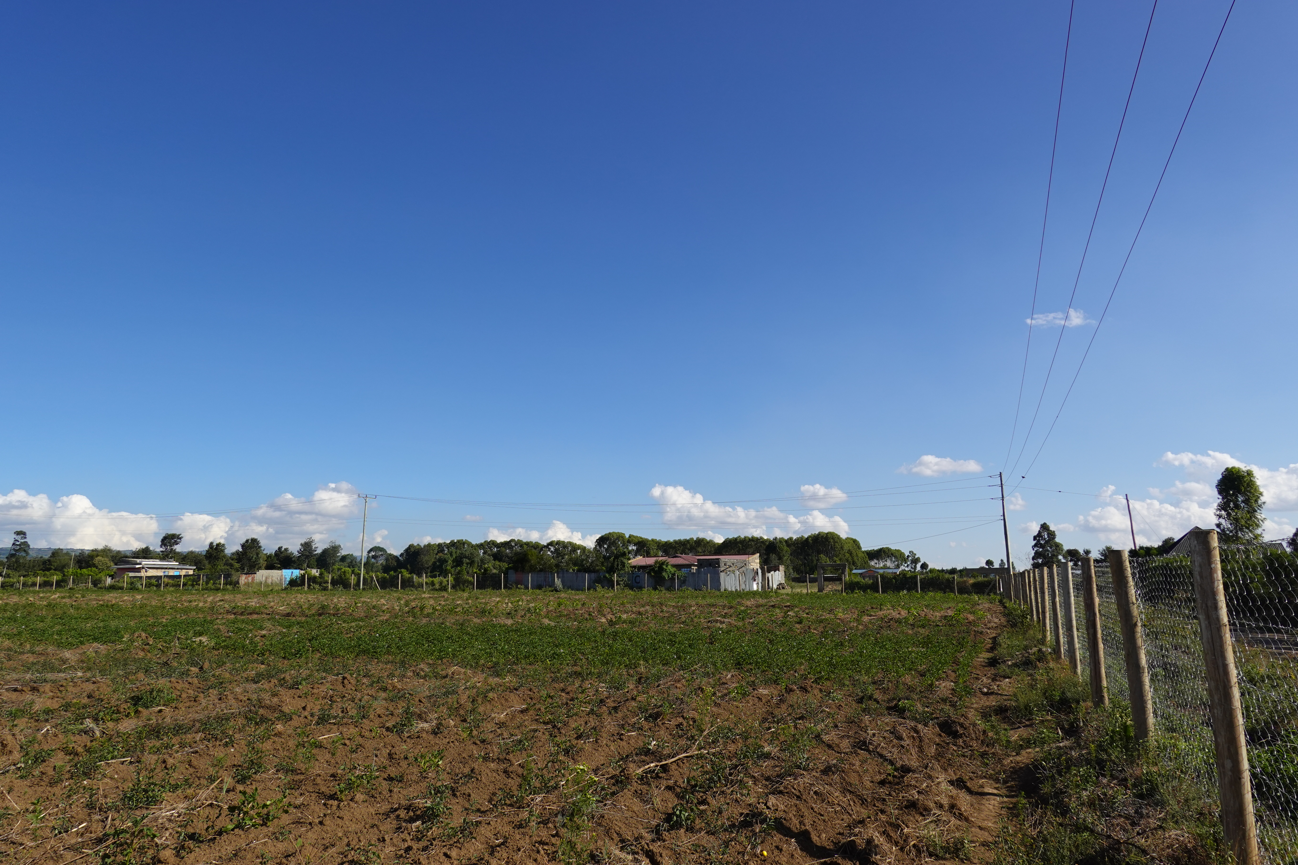Mountainside Estates